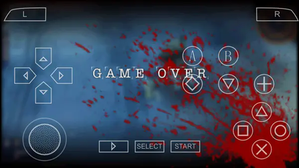 寄生前夜第三次生日下載