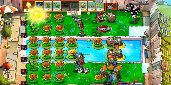植物大戰(zhàn)僵尸原版 植物大戰(zhàn)僵尸原版
